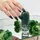Nagellack Nr. 60 kale yeah! Farblack 8 ml