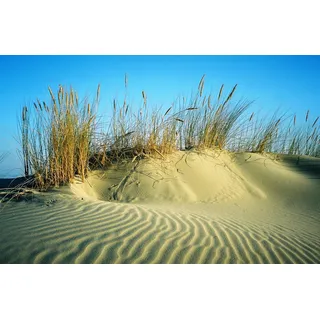 Fototapete PAPERMOON "DÜNEN-STRAND MEER SEE OZEAN SAND GRAS NORDSEE OSTSEE", bunt, B:2,5m L:1,86m, Vlies, Tapeten