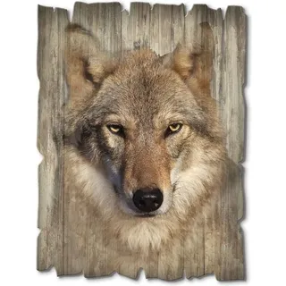 ARTland Artland, Bilder, Wolf T1DQ (30 x 40 cm)