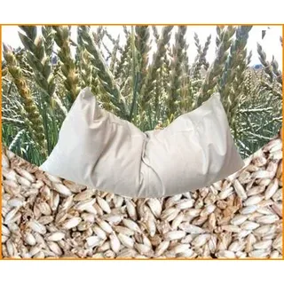 Bio Dinkelkissen 40 x 60 cm mit Inlett aus 100% Bio-Baumwolle