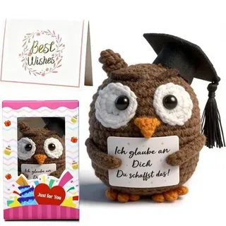 Handgehäkelte Eule mit Doktorhut – Glücksbringer Abschlussgeschenk – Kuscheliger Pocket Hug mit Glücksmünze & Geschenkbox – Idee für bestan