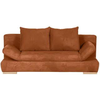 Roller Schlafcouch Polyester 2-Sitzer Grau