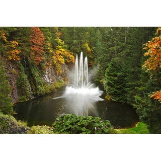 PAPERMOON Fototapete "Wasserfall im Wald" Tapeten Gr. B/L: 4,00 m x 2,60 m, Bahnen: 8 St., bunt Fototapeten