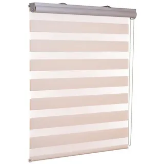 Doppelrollo Doppelrollo Duorollo mit Kassette Kassettenrollo, ventanara 80 cm x 220 cm