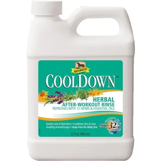 Absorbine CoolDown After Workout 946ml