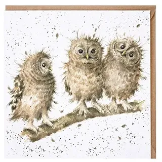 Wrendale Doppelkarte mit Umschlag, drei kleine Eulen sitzen auf einem Ast, Quadratisch, 15x15 cm