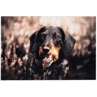 Astra Deco Print 40 x 60 cm Braun
