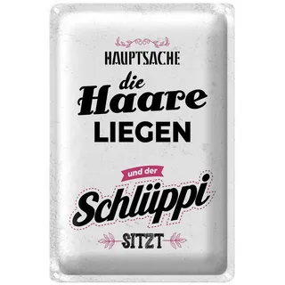Roomando Blechschild | Hauptsache die Haare liegen und der Schlüppi sitzt, 20 x 30 cm (1006811)