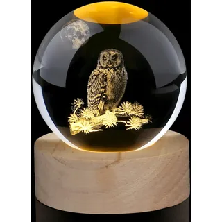 AWARDSEN 3D Eule Kristall Kugel Eule Ornament Eule Geschenke für Frauen Eulen Briefbeschwerer Glas Ornamente Tier Ornamente Niedliche Figuren Geschenke