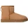 Chestnut 43