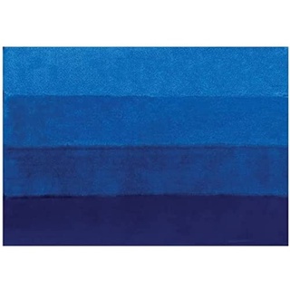 Spirella Badteppich Badematte Badvorleger Duschvorleger Mikrofaser Hochflor flauschig 60x90 cm – Blau