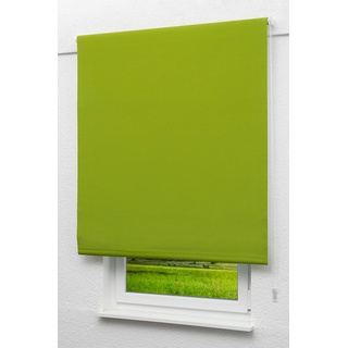 Lysel Outlet - Verdunkelungsrollo Gelbgrün, (B x H) 122.50cm x 190cm in grün/gelbgrün