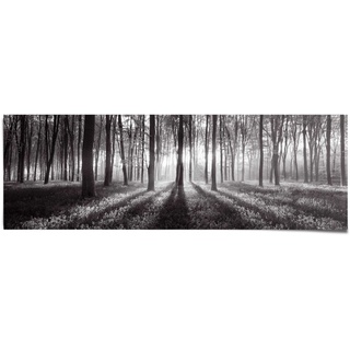 Poster REINDERS "Sonnenaufgang im Wald Schwarz-Weiß" Bilder Gr. B/H: 158 cm x 53 cm, schwarz Bilder