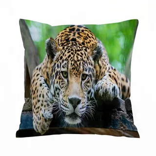 ERRTU Kissenbezug 40x40 cm,Dschungel, Südamerikanischer Jaguar, Wildtiere, Fleischfresser, Gefährdet, Katzen,Dekokissen Kissenbezüge Deko Kissen Bezug Wohnzimmer Zierkissen für Sofa Stuhl Bett Garten