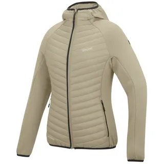 Regatta Andreson Hybrid Softshelljacke Damen Parchment 50