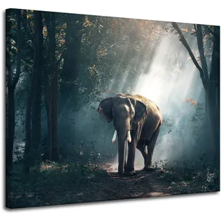 Leinwanddruck Tiere Elefant 100x80 Cm