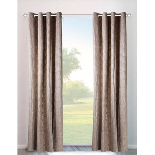 my home Vorhang Velvet Foil, Ösen (2 St), blickdicht, Samt beige 140 cm x 145 cm