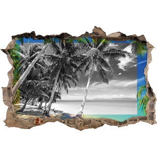 Pixxprint 3D_WD_5204_92x62 wunderschöner Strand mit Palmen Wanddurchbruch 3D Wandtattoo, Vinyl, schwarz / weiß, 92 x 62 x 0,02 cm