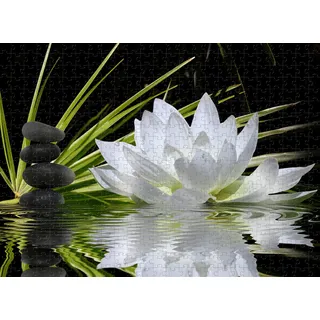5000 Teile Puzzle Wasser Lotus Puzzle Holzspielzeug Geschenk Wohnkultur
