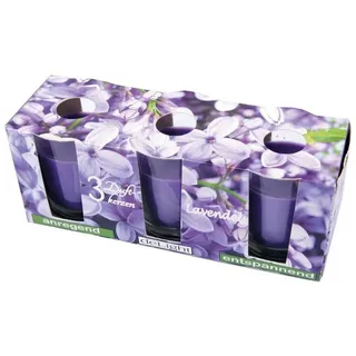 HS Candle Duftkerzen Classic 3er Pack Lavendel