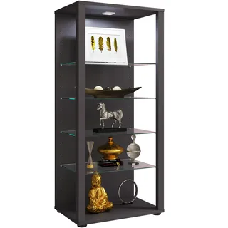 VCM Standvitrine Glasol 52 x 35 x 115 cm Schwarz