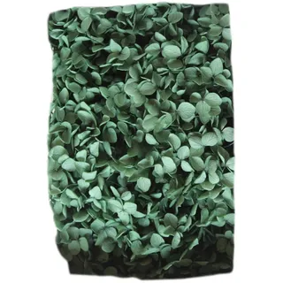 Farfi 20g/box Trockenblumen, Keine Bewässerung Nötig, Dekorative, Frisch Haltende Künstliche Hortensienblüten, Geschenkbox-set, Heimdekoration Für Das Wohnzimmer-atrovirens