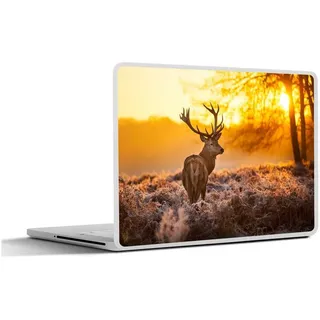 MuchoWow Laptop-Aufkleber Hirsche - Tiere - Sonnenuntergang - Winter - Heidekraut - Natur, (1tlg), Selbstklebendes Laptop Folien Cover, Sticker, Kratzschutz, 40x30 cm bunt Ø 50.00 cm x 40 cm x 30 cm