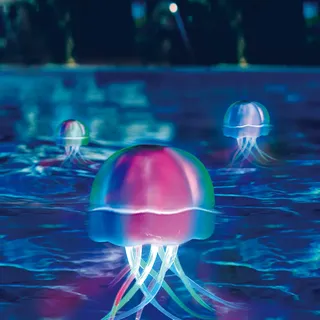 Trendline LED Poolbeleuchtung Qualle Batterie 14,2 cm x 28,5 cm