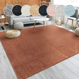 Paco Home Porto 890 Kurzflorteppich 60 x 100 cm Braun