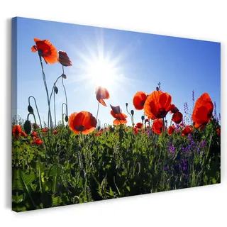 Printed Paintings Leinwand (80x60cm): Blumenbilder Mohnblume Mohnblumen-Feld Sonne Links Oben