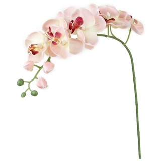 SouiWuzi 1 Stück Künstliche Seide Orchidee Blume Stamm Blumenstrauß Simulation Schmetterling Orchidee Handgemachte Blume Pflanze Für Dekoration Rosa, falsche Orchidee Blume
