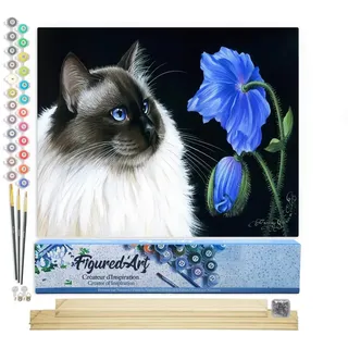 Figured'Art Malen Nach Zahlen Erwachsene Mit Rahmen Katze und Blume - Paint by Numbers Basteln DIY Bastelset 40x50cm Mit Keilrahmen (nicht gespannt)