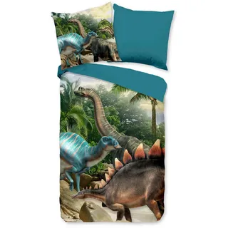 Kinderbettwäsche, Mehrfarbig, Textil, Dinosaurier, 135x200 cm, bügelleicht, Schlaftextilien, Bettwäsche, Kinderbettwäsche