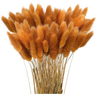 120 Pcs Getrocknetes Pampasgras,Lagurus Getrocknet,Trockenblumen Bodenvase,Natürlich Pampasgras Blumenstrauß,Trockenblumen Blumenstrauß Deko, Künstlich Groß Trockenblumen,Trockenblumen Pampasgras