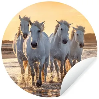 MuchoWow Wandsticker Pferde - Wasser - Strand - Tiere (1 St), Selbstklebende Runde Vliestapete, Wohnzimmer, 140x140 cm bunt 140 cm x 140 cm x 0.1 cm
