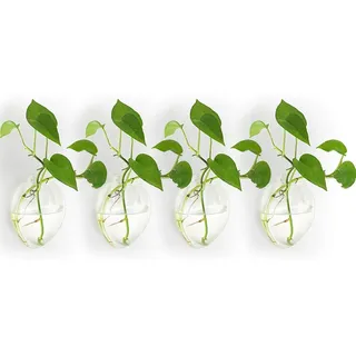 NUPTIO Glas Wandvase Modernes für Pflanzen: Wandbehang Glasvase 4er-Set | Klarem Hydrokultur Terrarium für Zimmerpflanzen, für Zuhause, Büro, Wohnzimmer, Garten Dekoration