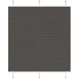 vidaXL Plissee 120 x 100 cm schwarz