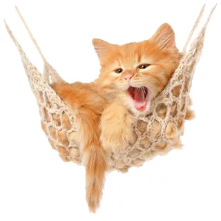 GRAZDesign Wandtattoo Baby Katze, Babykatzen auf Hängematte, Kinderzimmer Wandaufkleber / 58x57cm