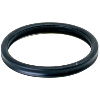 Oase Ersatzdichtung Vorfilter BioMaster – für Biomaster und Thermo-Modelle 45149
