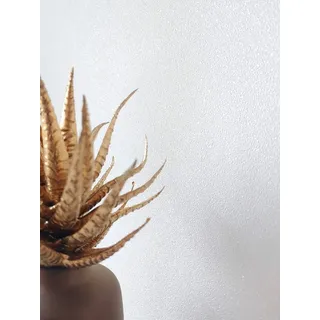 Newroom Vliestapete Weißer Glitzer Tapete Unitapete Leicht Glänzend,Glitzer,Einfarbig, Weiß Tapete Uni Leicht Glänzend - Unitapete Glatt Modern Glamour Glitzer Einfarbig für Wohnzimmer Schlafzimmer Küche, Glatt silberfarben 0.53 m x 10.05 m