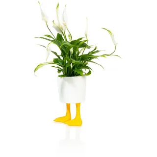 bitten Blumentopf Entenfüße Mini Blumentopf aus Porzellan