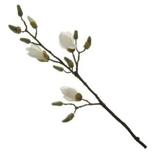 Fink - künstlicher Magnolienzweig Weiss - Kunstfaser - Farbe: Natur - Höhe 82 cm