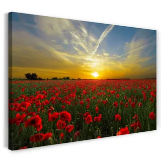 Printed Paintings Leinwand (80x60cm): Blumenbilder Mohnblume Mohnblumen-Feld bei Sonnenuntergang