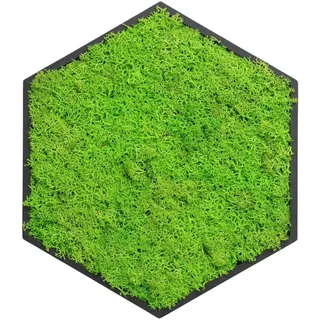 ebenkunst Hexagon Moosbild – Wanddeko aus schwarzem MDF | Schwarz durchgefärbtes MDF, konserviertes Islandmoos, ca. 19,6 x 22,6 cm, 6 Moosfarben, Made in Germany