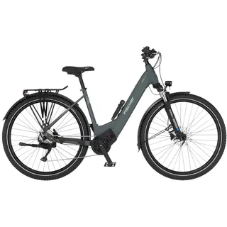 Fischer TERRA 6.8i 28 Zoll RH 43 cm Unisex grün