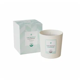 Engels Kerzen Duftkerze SENTIMENTALS L Cedarwood