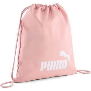 Puma Phase Rosy Outlook