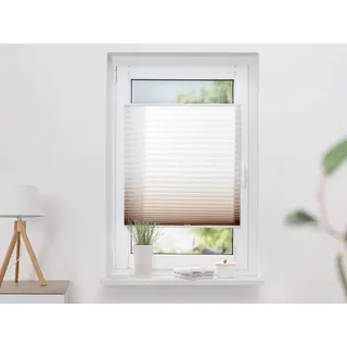 K-HOME Plissee Farbverlauf Sunrise 30 x 130 cm Braun/Weiß