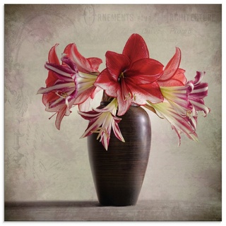 Artland Glasbild »Amaryllis Vintage II«, Blumen (1 St) rot 30 cm x 30 cm