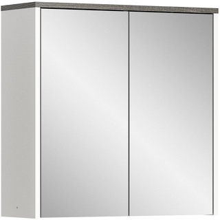 xonox.home Spiegelschrank Los Angeles - rauchsilber